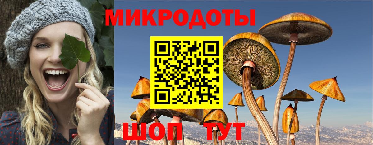 Кропоткин  Псилоцибиновые грибы GOLDEN TEACHER  Вход с VPN 